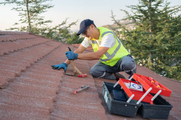 Best Best Roofing Contractors  in New Buffalo, MI